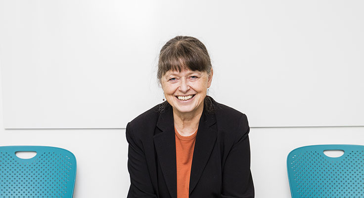 Lisbeth Lundahl, Professor